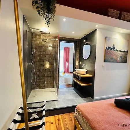 Апартаменты L'haussmanien Romantique - Hec, Jardin Botanique