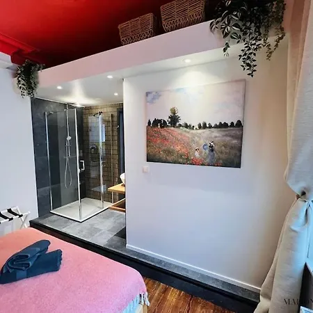 Апартаменты L'haussmanien Romantique - Hec, Jardin Botanique