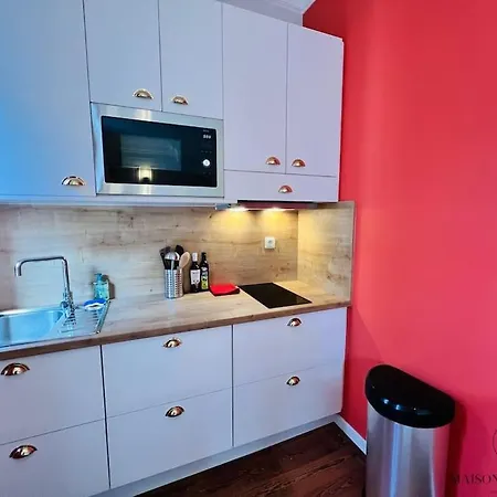 Daire L'haussmanien Romantique - Hec, Jardin Botanique