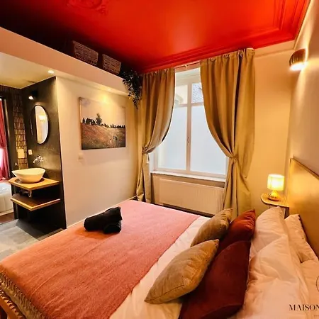 L'haussmanien Romantique - Hec, Jardin Botanique Апартаменты Льеж