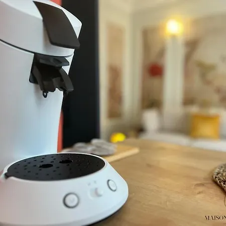 Daire L'haussmanien Romantique - Hec, Jardin Botanique Liège