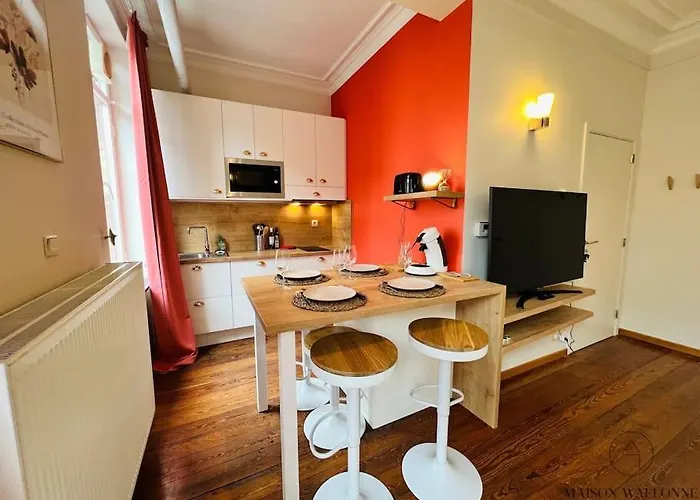 L'haussmanien Romantique - Hec, Jardin Botanique Апартаменты Льеж