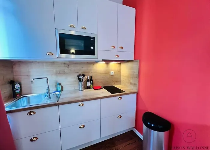 Апартаменты L'haussmanien Romantique - Hec, Jardin Botanique