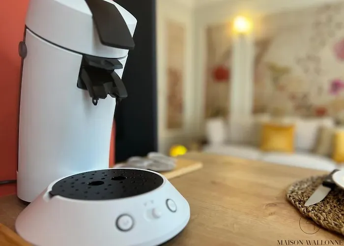 Апартаменты L'haussmanien Romantique - Hec, Jardin Botanique Льеж